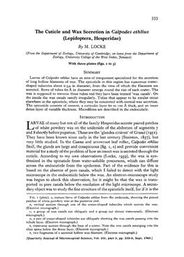 The Cuticle and Wax Secretion in Calpodes Ethlius (Lepidoptera, Hesperidae) by M