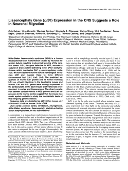 Lissencephaly Gene (LISI) Expression in the CNS Suggests a Role in Neuronal Migration