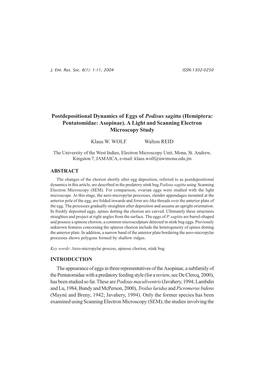 Postdepositional Dynamics of Eggs of Podisus Sagitta (Hemiptera: Pentatomidae: Asopinae)