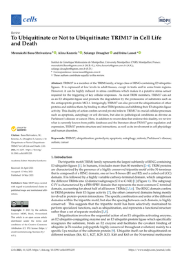 To Ubiquitinate Or Not to Ubiquitinate: TRIM17 in Cell Life and Death
