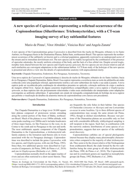 A New Species of Copionodon Representing a Relictual Occurrence