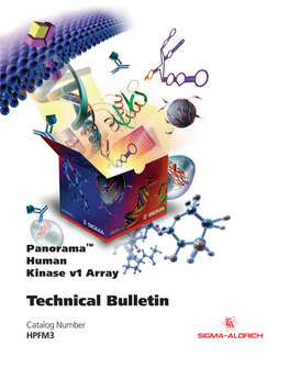 HPFM3 Panorama™ Human Kinase V1 Array