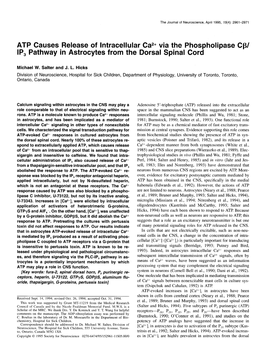 ATP Causes Release of Intracellular Ca*+ Via the Phospholipase Cp/ IP, Pathway in Astrocytes from the Dorsal Spinal Cord