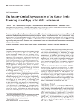 The Sensory Cortical Representation of the Human Penis: Revisiting Somatotopy in the Male Homunculus