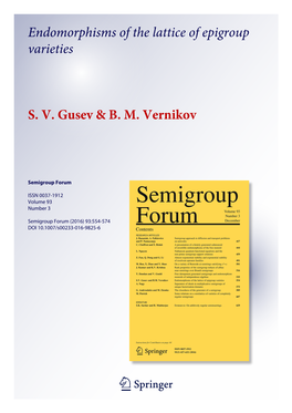 Endomorphisms of the Lattice of Epigroup Varieties