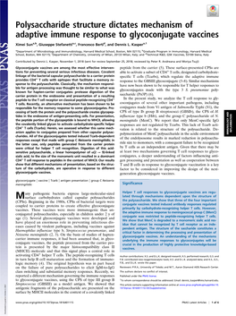 Polysaccharide Structure Dictates Mechanism of Adaptive Immune Response to Glycoconjugate Vaccines