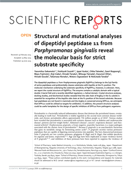 Structural and Mutational Analyses of Dipeptidyl Peptidase 11 from Porphyromonas Gingivalis Reveal the Molecular Basis for Strict Substrate Specificity