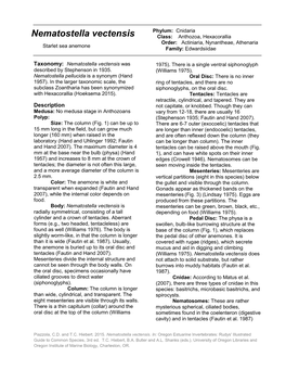 Nematostella Vectensis Class: Anthozoa, Hexacorallia