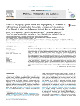 Molecular Phylogeny, Species Limits, and Biogeography of the Brazilian