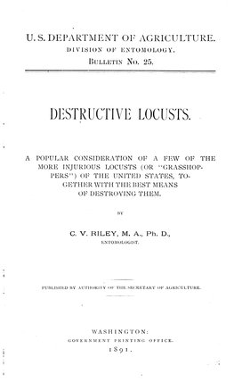 Destructivo Locusts