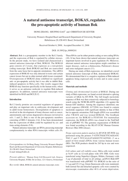 A Natural Antisense Transcript, BOKAS, Regulates the Pro-Apoptotic Activity of Human Bok