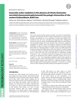 FEMS Microbiol. Ecol. 71