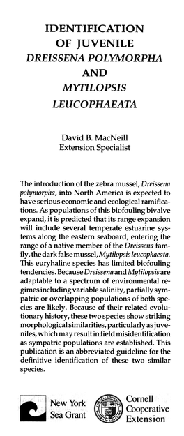 Identification of Juvenile Dreissena Polymorpha and Mytilopsis