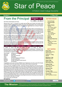 Newsletter No 6