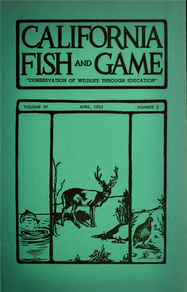 FISH™GAME 