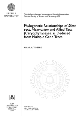 Phylogenetic Relationships of Silene Sect. Melandrium and Allied Taxa