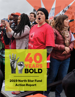 2019 North Star Fund Action Report