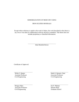 Immobilization of Mercury Using Iron Sulfide Minerals