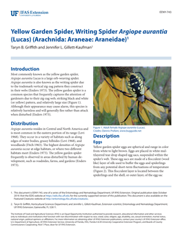 Yellow Garden Spider, Writing Spider Argiope Aurantia (Lucas) (Arachnida: Araneae: Araneidae)1 Taryn B