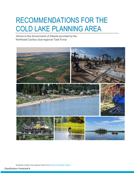 RECOMMENDATIONS for the COLD LAKE PLANNING AREA Advice to the Government of Alberta Provided by the Northeast Caribou Sub-Regional Task Force