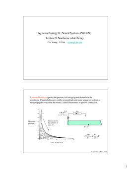 Lecture 9, Nonlinear Cable Theory Eric Young 5-3164 Eyoung@Jhu.Edu