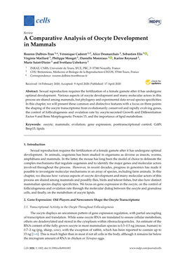 A Comparative Analysis of Oocyte Development in Mammals