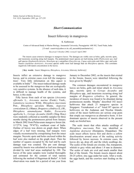 Insect Foliovory in Mangroves