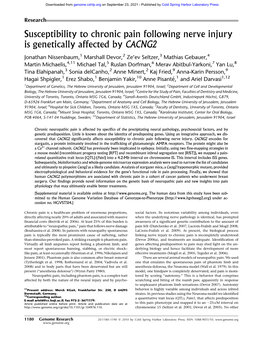 Susceptibility to Chronic Pain Following Nerve Injury Is Genetically Affected by CACNG2