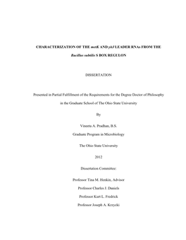 CHARACTERIZATION of the Metk and Yitj LEADER Rnas from THE