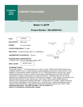 Labeled Nucleotides SHEET