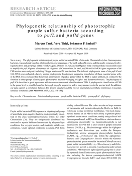 Phylogenetic Relationship of Phototrophic Purple Sulfur Bacteria According to Pufl and Pufm Genes