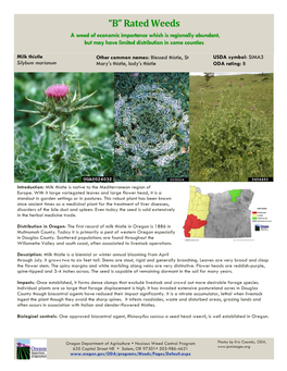 Milk Thistle Profile