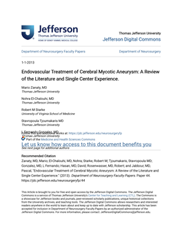 Endovascular Treatment of Cerebral Mycotic Aneurysm: a Review of the Literature and Single Center Experience