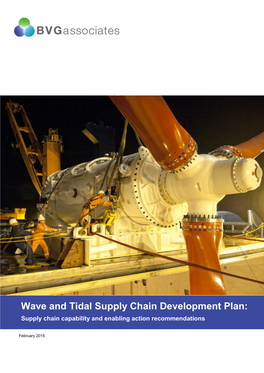 Wave and Tidal Supply Chain Development Plan: Supply Chain Capability and Enabling Action Recommendations Subtitle February 2015