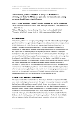 Trichomonas Galllinae Infection in European Turtle Doves Streptopelia Turtur in Africa and Potential for Transmission Among Co-Occurring African Columbiformes