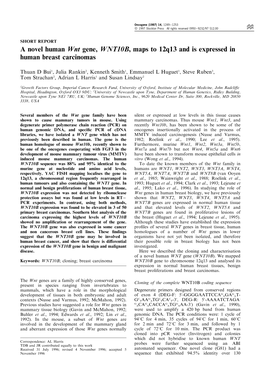 A Novel Human Wnt Gene, WNT10B, Maps to 12Q13 and Is Expressed in Human Breast Carcinomas