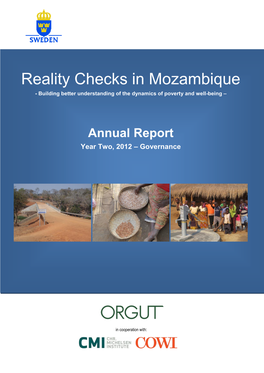 Reality Check Mozambique