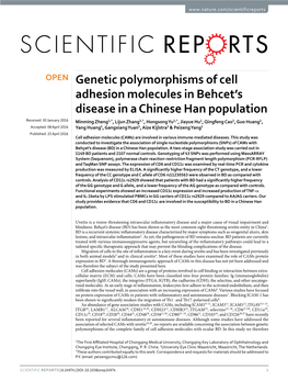 Genetic Polymorphisms of Cell Adhesion Molecules in Behcet's Disease in a Chinese Han Population