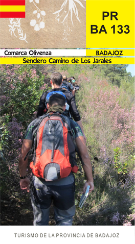 PR-BA-133-Camino-De-Los-Jarales