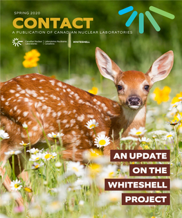 WL-Spring-CONTACT-2020.Pdf