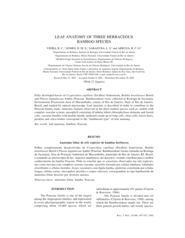 Leaf Anatomy of Three Herbaceous Bamboo Species