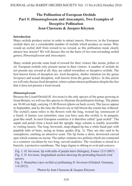 The Pollination of European Orchids Part 5: Himantoglossum and Anacamptis, Two Examples of Deceptive Pollination Jean Claessens & Jacques Kleynen