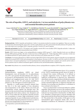 The Role of Hepcidin, GDF15, and Mitoferrin-1 in Iron Metabolism of Polycythemia Vera and Essential Thrombocytosis Patients