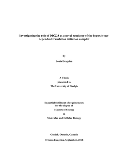 Investigating the Role of DDX28 As a Novel Regulator of the Hypoxic Cap- Dependent Translation Initiation Complex