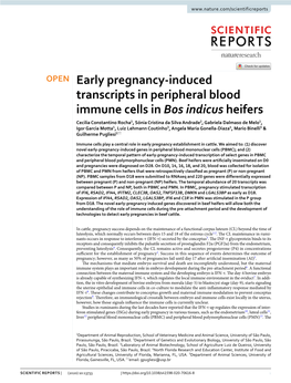 Early Pregnancy-Induced Transcripts in Peripheral Blood Immune Cells In