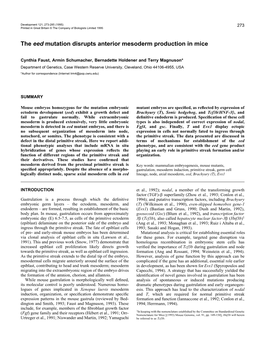 The Eed Mutation Disrupts Anterior Mesoderm Production in Mice