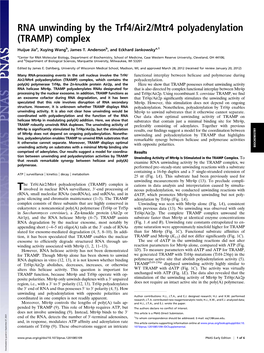 RNA Unwinding by the Trf4/Air2/Mtr4 Polyadenylation (TRAMP) Complex