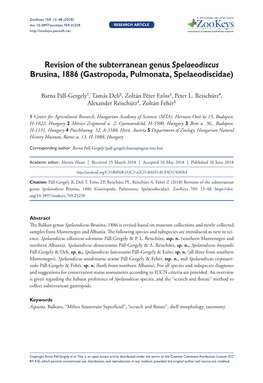 Revision of the Subterranean Genus Spelaeodiscus Brusina, 1886 (Gastropoda, Pulmonata, Spelaeodiscidae)