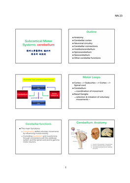 Subcortical Motor Systems: Cerebellum