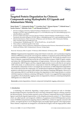 Targeted Protein Degradation by Chimeric Compounds Using Hydrophobic E3 Ligands and Adamantane Moiety